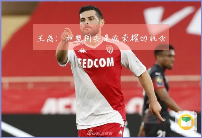 王禹：加盟国安是我荣耀的机会